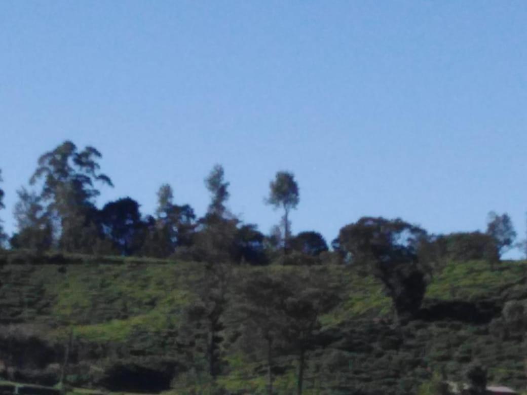 Frosty Heaven Guest House Nuwara Eliya Ngoại thất bức ảnh