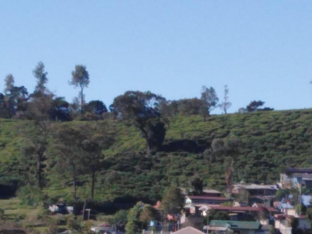 Frosty Heaven Guest House Nuwara Eliya Ngoại thất bức ảnh